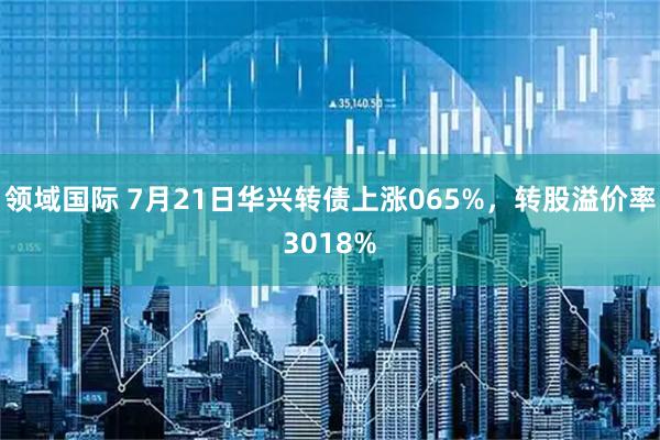 领域国际 7月21日华兴转债上涨065%，转股溢价率3018%