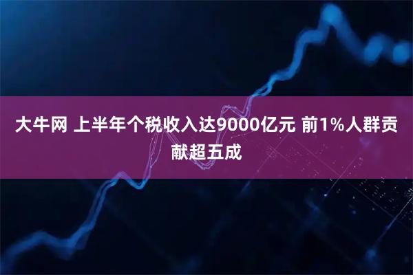大牛网 上半年个税收入达9000亿元 前1%人群贡献超五成